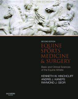 Equine Sports Medicine and Surgery E-Book Equine Sports Medicine and Surgery E-Book