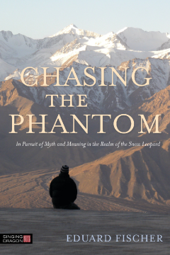 Chasing the Phantom Chasing the Phantom