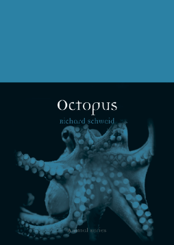 Octopus Octopus