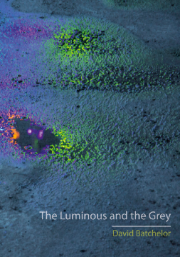 The Luminous and the Grey The Luminous and the Grey