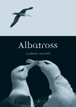 Albatross Albatross