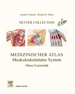 Netter Collection Muskuloskelettales System Band 1 Netter Collection Muskuloskelettales System Band 1