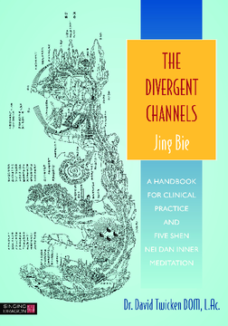 The Divergent Channels - Jing Bie