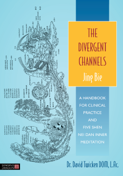 The Divergent Channels - Jing Bie The Divergent Channels - Jing Bie