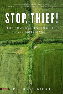Stop, Thief! Stop, Thief!