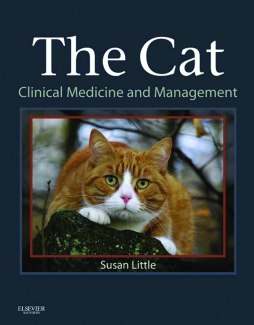 The Cat - E-Book The Cat - E-Book