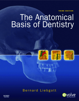 The Anatomical Basis of Dentistry - E-Book The Anatomical Basis of Dentistry - E-Book