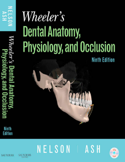 Wheeler's Dental Anatomy, Physiology and Occlusion - E-Book Wheeler's Dental Anatomy, Physiology and Occlusion - E-Book