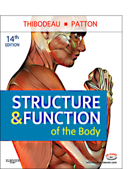 Structure & Function of the Body Structure & Function of the Body