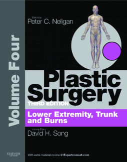 Cirurgia Plástica Volume Quatro Cirurgia Plástica Volume Quatro