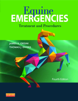 Equine Emergencies E-Book Equine Emergencies E-Book