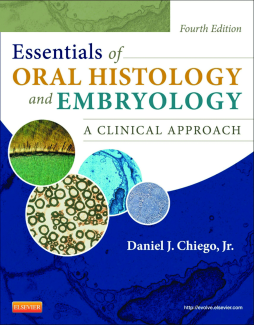 Essentials of Oral Histology and Embryology - E-Book Essentials of Oral Histology and Embryology - E-Book
