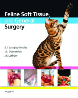 Feline Soft Tissue and General Surgery E-Book
