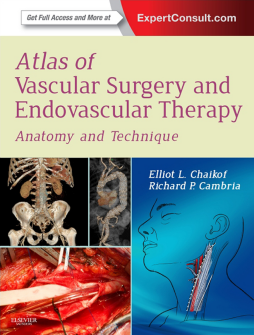 Atlas of Vascular Surgery and Endovascular Therapy E-Book