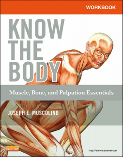 Workbook for Know the Body: Muscle, Bone, and Palpation Essentials - E-Book