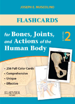 Flashcards for Bones, Joints, and Actions of the Human Body - E-Book