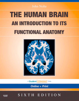 The Human Brain E-Book The Human Brain E-Book