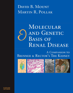 Molecular and Genetic Basis of Renal Disease E-Book Molecular and Genetic Basis of Renal Disease E-Book