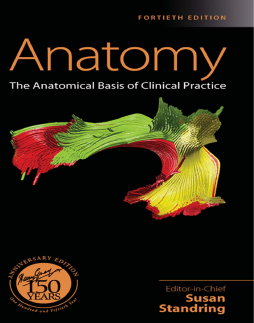 Gray's Anatomy Gray's Anatomy