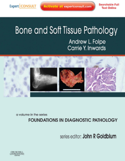 Bone and Soft Tissue Pathology E-Book