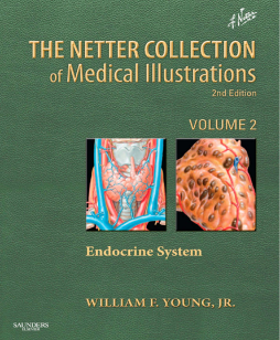 Netter Collection of Medical Illustrations: Endocrine System E-book Netter Collection of Medical Illustrations: Endocrine System E-book