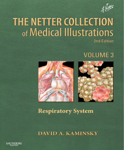 Netter Collection of Medical Illustrations: Respiratory System E-Book Netter Collection of Medical Illustrations: Respiratory System E-Book