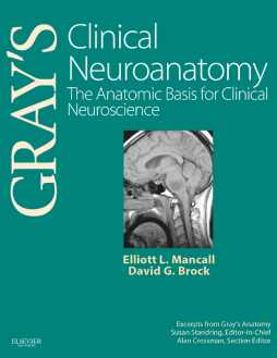 Gray's Clinical Neuroanatomy E-Book