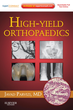 High Yield Orthopaedics E-Book