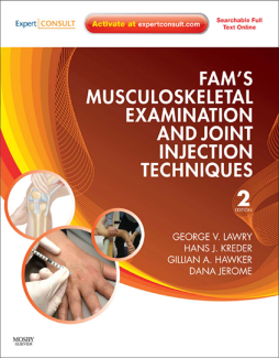Fam's Musculoskeletal Examination and Joint Injection Techniques E-Book Fam's Musculoskeletal Examination and Joint Injection Techniques E-Book