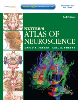 Netter's Atlas of Neuroscience E-Book Netter's Atlas of Neuroscience E-Book