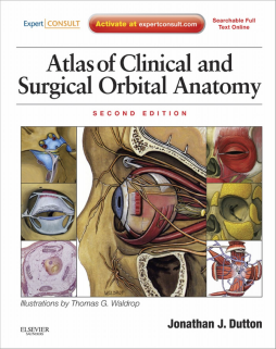 Atlas of Clinical and Surgical Orbital Anatomy E-Book Atlas of Clinical and Surgical Orbital Anatomy E-Book