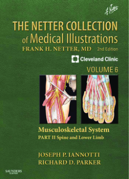 The Netter Collection of Medical Illustrations: Musculoskeletal System, Volume 6, Part II - Spine and Lower Limb E-Book