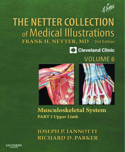 The Netter Collection of Medical Illustrations: Musculoskeletal System, Volume 6, Part I - Upper Limb E-Book The Netter Collection of Medical Illustrations: Musculoskeletal System, Volume 6, Part I - Upper Limb E-Book