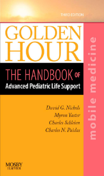 Golden Hour E-Book