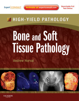 Bone and Soft Tissue Pathology E-Book Bone and Soft Tissue Pathology E-Book