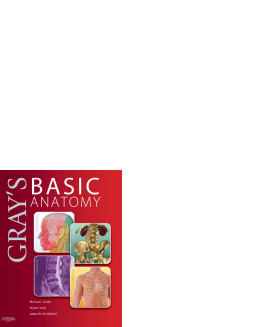 Gray's Basic Anatomy E-Book