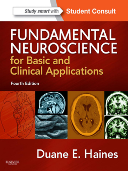 Fundamental Neuroscience for Basic and Clinical Applications Fundamental Neuroscience for Basic and Clinical Applications
