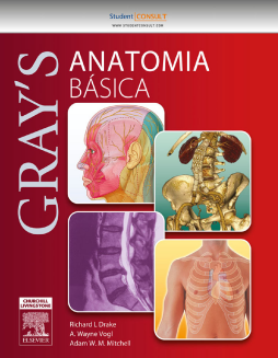Gray Anatomia Básica Gray Anatomia Básica