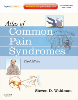 Atlas of Common Pain Syndromes E-Book Atlas of Common Pain Syndromes E-Book