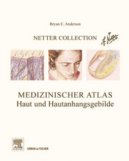 Netter Collection Muskuloskelettales System Band 3 Netter Collection Muskuloskelettales System Band 3