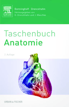 Benninghoff Taschenbuch Anatomie Benninghoff Taschenbuch Anatomie