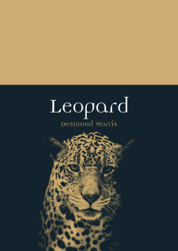 Leopard Leopard