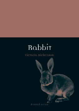 Rabbit Rabbit