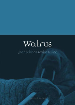 Walrus Walrus