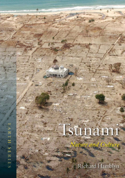 Tsunami Tsunami