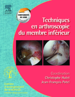 Techniques en arthroscopie du membre inférieur