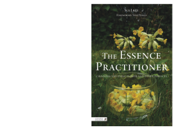 The Essence Practitioner The Essence Practitioner