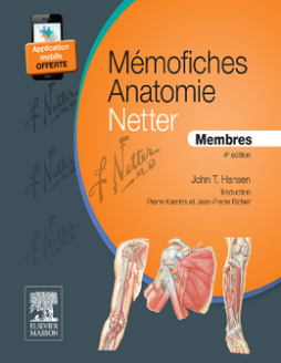 Mémofiches Anatomie Netter - Membres