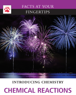 Facts at Your Fingertips: Introducing Chemistry - Chemical Reactions