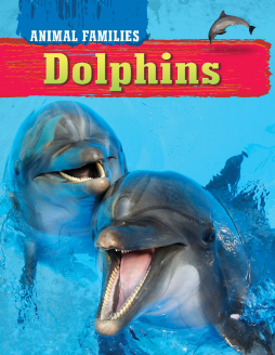 Animal Families - Dolphins Animal Families - Dolphins